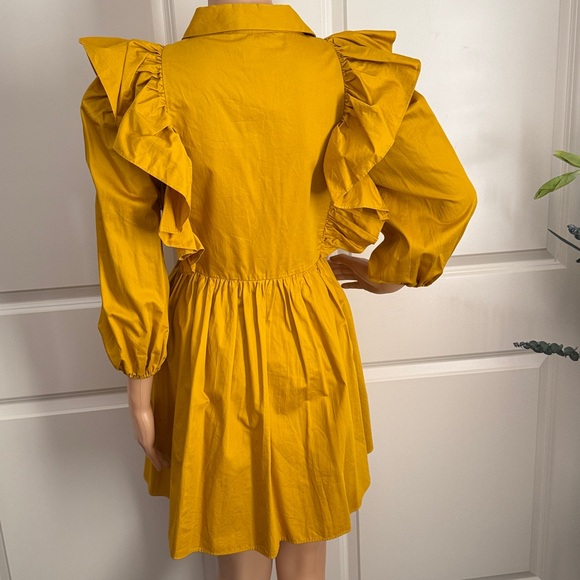 New ZARA RUFFLED VOLUMINOUS DRESS - Picture 17 of 17